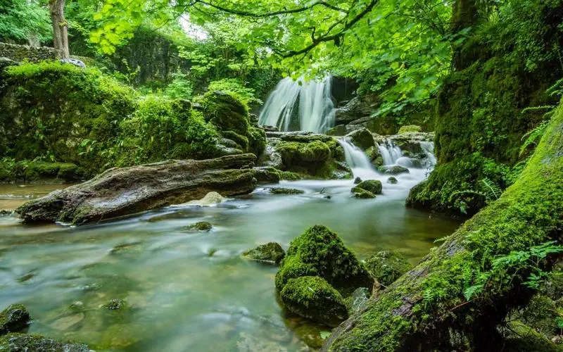 智能系统可靠性科技